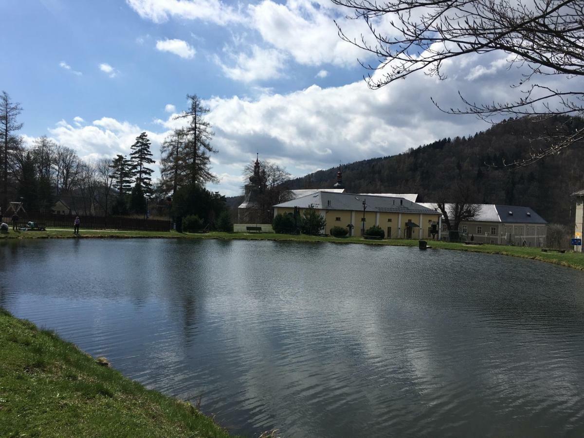 Apartman Dlouhe Strane Loučná nad Desnou Εξωτερικό φωτογραφία